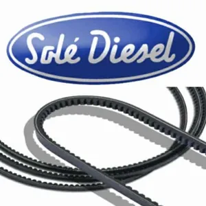 Solé V-Snaar (nieuw type) 13821228 voor Mini 17 en 29