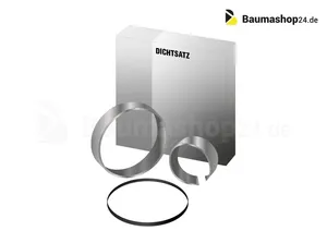 Original Lehnhoff Dichtsatz PTS11 232176