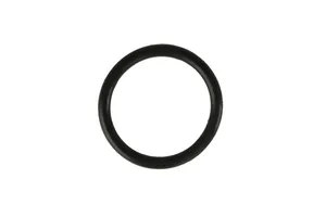 Detroit Diesel Series 60 12.7L, Series 60 14L, Series 60 11.1L Oil Pump Outlet Pipe O-Ring, New (23505891) — 2