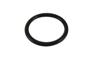 Detroit Diesel Series 60 12.7L, Series 60 14L, Series 60 11.1L Oil Pump Outlet Pipe O-Ring, New (23505891) — 3