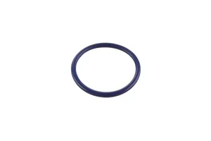 Detroit Diesel Series 60 12.7L, 14L, 11.1L Fuel Injector Tube Seal, New (23534743)