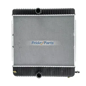 Water Tank Radiator 2504903C91 355 20013531 for Ford 2004-2007 F-650 F750