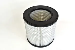 Solberg Air Filter Replacement - 244