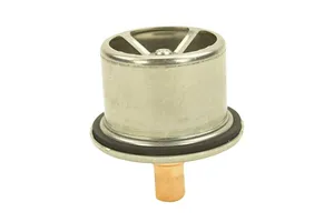 Caterpillar C15 Acert, C15, 3406B Thermostat, New (2485513) — 3