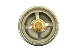 Caterpillar C15 Acert, C15, 3406B Thermostat, New (2485513) — 4