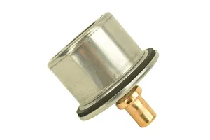 Caterpillar C15 Acert, C15, 3406B Thermostat, New (2485513) — 2