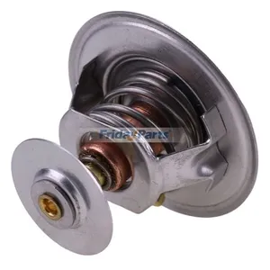 Thermostat 2485613 for Perkins Engine John Deere Massey Ferguson 375 Marine 236 248 — 4
