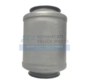 2594131C91 Genuine International Dpf Diesel Particulate Filter/Gaskets