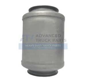 2605039C91 Genuine International Dpf Diesel Particulate Filter/Gaskets