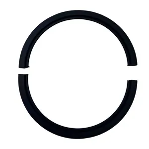 REAR CRANKSHAFT SPLIT LIP SEAL (Pair) — 2