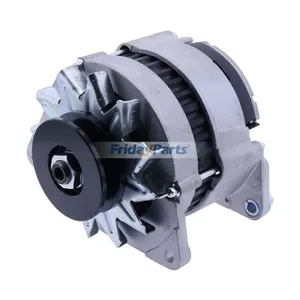 12V Alternator 2871A141 for Perkins Engine 104.22 1004-4 1004-40 1004-42 1004-4T 1006-6 1006-60 1006-6T T3.1524 T4.236 — 3