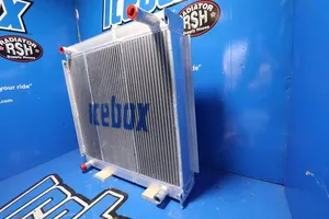 290207 - Radiator — 4