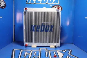 290207 - Radiator — 3