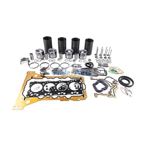 Overhaul Rebuild Kit for FPT & Iveco Engine F4CE9484M*J605