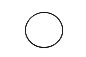 Caterpillar O-Ring Seal, New (2H3934) — 2