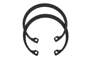 Cummins L10 Piston Pin Retainer, New (3016652)