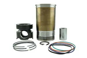 Caterpillar C15 Out-of-Frame Rebuild Kit 3067460 | New — 6