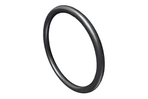 SEAL, O RING