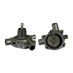 Wasserpumpe inkl. Dichtung für Landini 6500 6505, Cingolati C6000, Prima Special