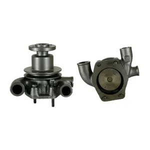 Wasserpumpe inkl. Dichtung für Massey Ferguson MF 35 133 134 145 148 152 154-550