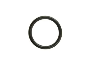 Cummins ISX Single Cam O-Ring Seal, New | (3678925) — 2