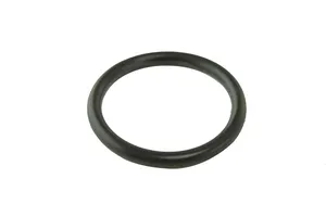 Cummins ISX Single Cam O-Ring Seal, New | (3678925) — 3