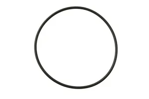 Cummins ISX Dual Cam O-Ring Seal, New (3682177) — 2