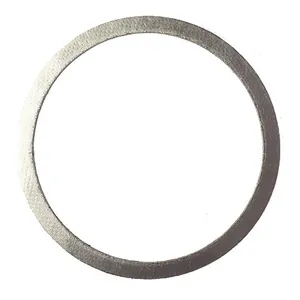 Dorman/Navistar 7/DT/9/10 International DPF Gasket | OEM# 3712647C91 | 2-Pack