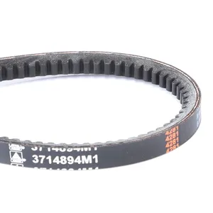 AGCO | V-Belt - 3714894M1