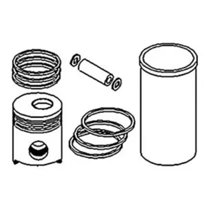 Kit, Piston Std. for Case® || Replaces OEM # 3802160