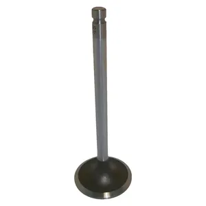 Engine Intake Valve for Case IH Maxxum Series with Cummins B Series Engine