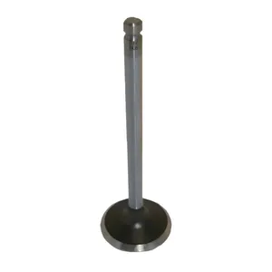 Engine Exhaust Valve for Case IH Maxxum Series with Cummins B Series Engine