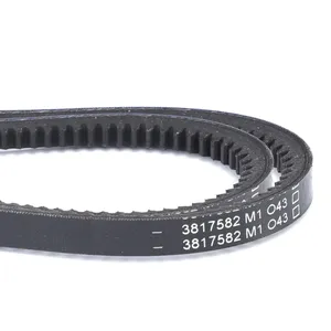 AGCO | V-Belt, Sold As A Matched Pair - 3817582M1