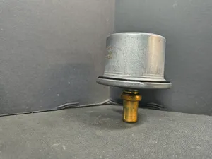 PAI THERMOSTAT, 170 381849 — 3