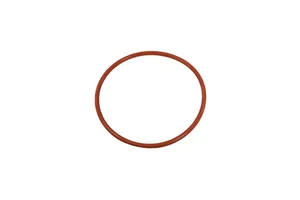 Cummins 6B 5.9L Air Transfer Seal Ring, New (3883284)