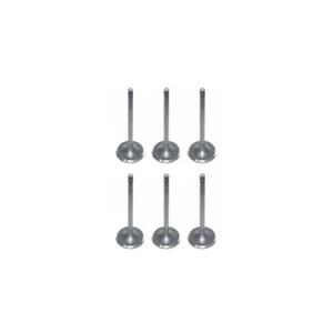 6 Pcs Valve Intake for Cummins 4B 6B 4BT 6BT Engine in USA