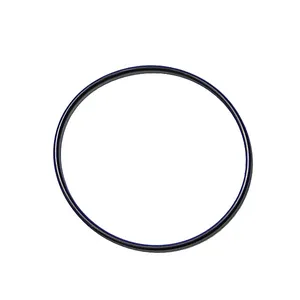 Cummins ISC 8.3L Water Pump O-Ring, New (3902089)