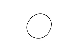 3907177 | Cummins Seal Ring -Liner
