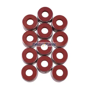 12 Pieces Valve Stem Seal 3921640 3901097 3921639 for Cummins Engine 4BT 6BT 4B3.9 6B5.9 B6.7S G5.9 ISB5.9G QSB3.9 QSB5.9 QSL9 Dodge 5.9L — 2