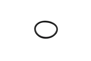 Cummins 4B 3.9L, 6B 5.9L, 4B 4.5L O-Ring Seal, New (3973512)