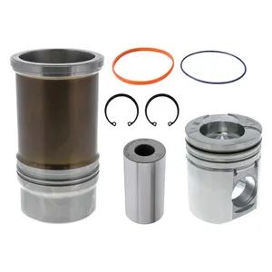 Pai 401013 Navistar 1824819C91 Cylinder Kit