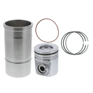 Pai 401045 Navistar 1876100C94 Cylinder Kit