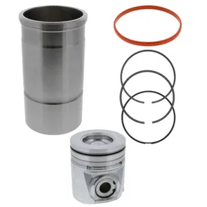 Reviva Items 401045R Navistar 1876100C94 Cylinder Kit