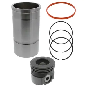 Pai 401047 Navistar 1876102C93 Cylinder Kit