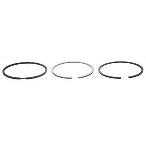 Pai 405020 Navistar 1817251C91 Ring Set