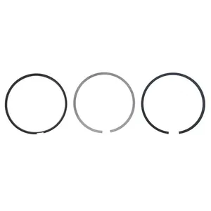 Pai 405020 Navistar 1817251C91 Ring Set — 2
