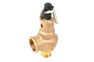Kaeser Relief Valve Replacement - 407003