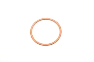Saylor Beall Valve Gasket Replacement - 4087