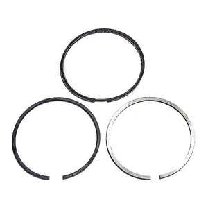Cummins 4B Standard Piston Ring Set, New (4089460)