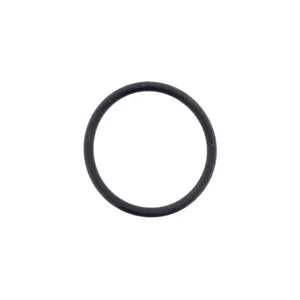 Pai 421232 Navistar 1844934C1 O-Ring — 2